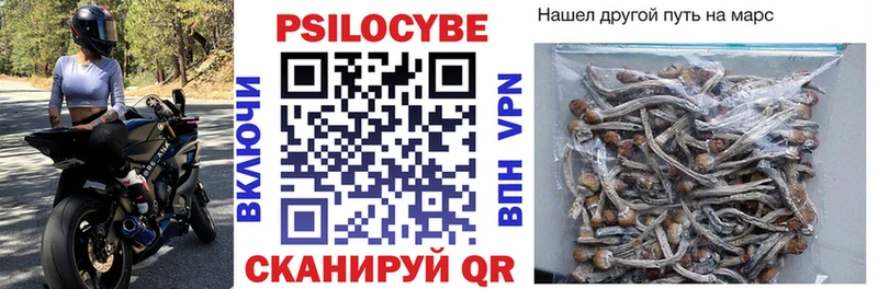 купить  сайты  Белинский  Псилоцибиновые грибы GOLDEN TEACHER 